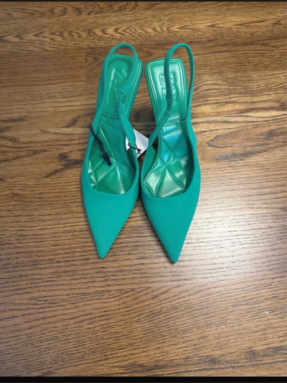Zara Pointed-Toe Slingback Heels in Teal